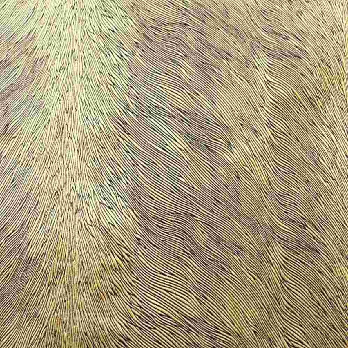 Brocade Hunter Velvet Fabric, 72 Inch. in Width | Home Decor Gold Fabrics Star