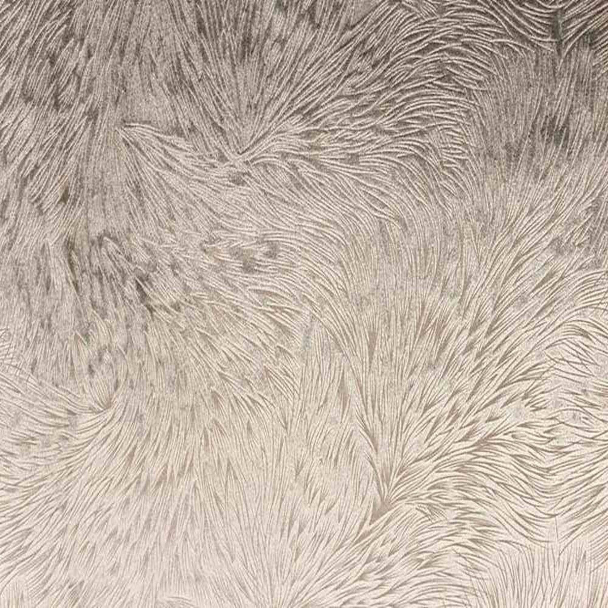 Huntsville Brocade Velvet Fabric, 72 Inch in Width Ideal Embossed Material for Home Decor Charcoal Fabrics Star