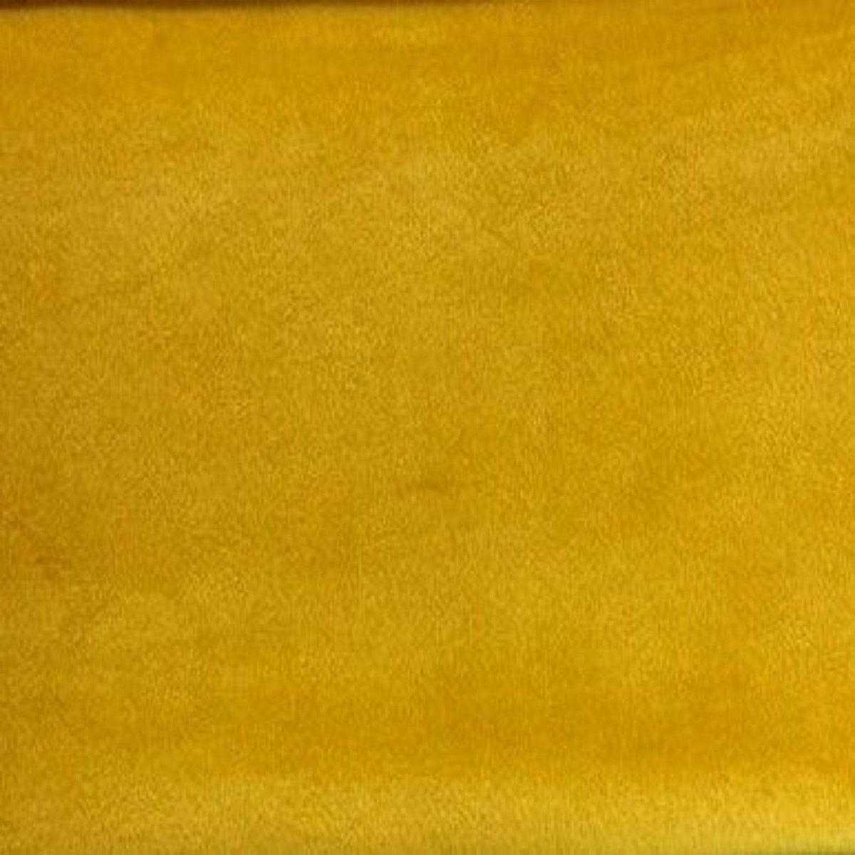 Amber Soft Velvet Fabric by the Yard - 118 Inch Wide Fabrics Star