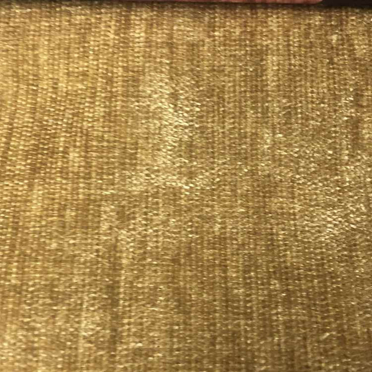 Chenille Soft Velvet Fabric, 118 Inch. in Width, Ideal Material for Home Décor Gold Fabrics Star