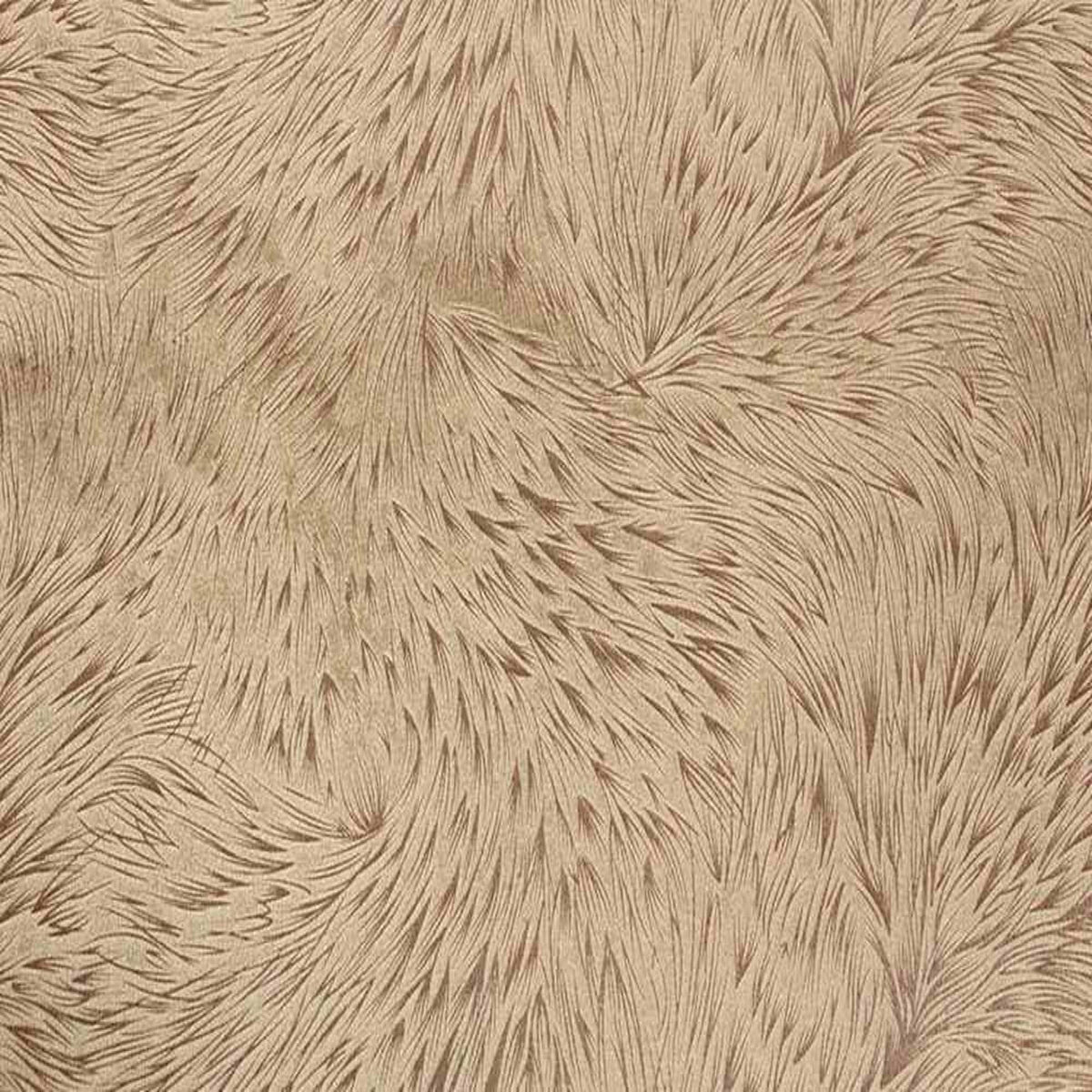 Huntsville Brocade Velvet Fabric, 72 Inch in Width Ideal Embossed Material for Home Decor Champagne Fabrics Star