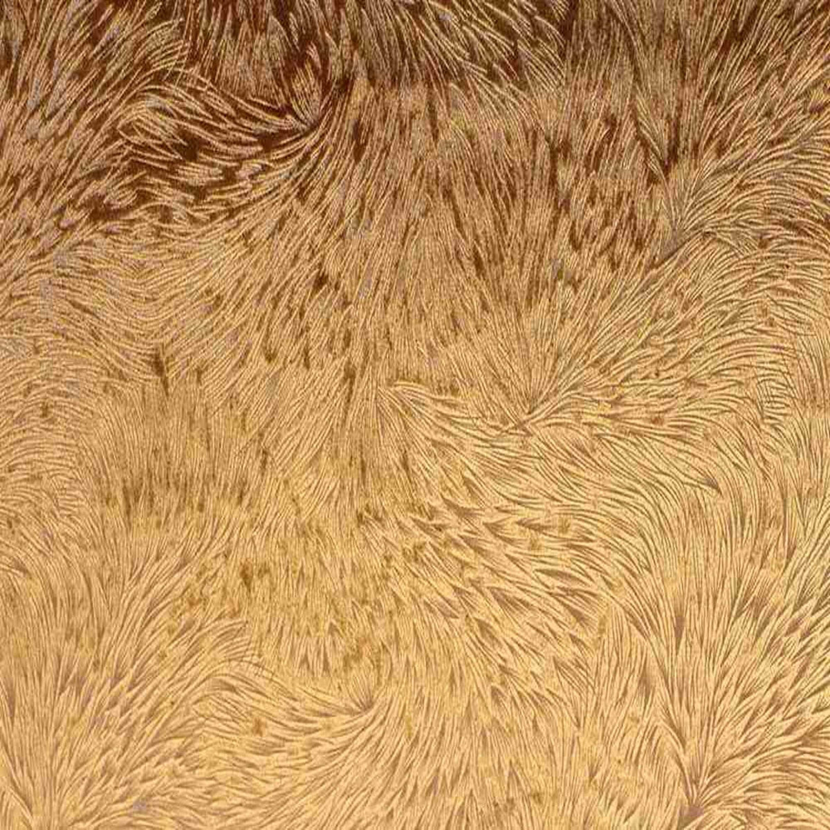 Huntsville Brocade Velvet Fabric, 72 Inch in Width Ideal Embossed Material for Home Decor Copper Fabrics Star