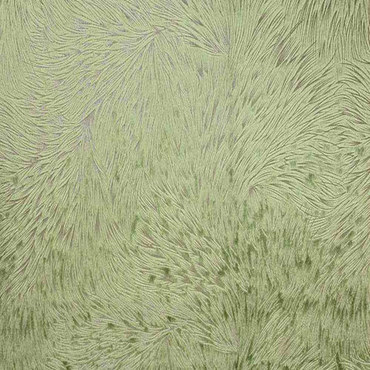 Green Huntsville Brocade Velvet Fabric by the Yard - 72 Inch Wide Fabrics Star