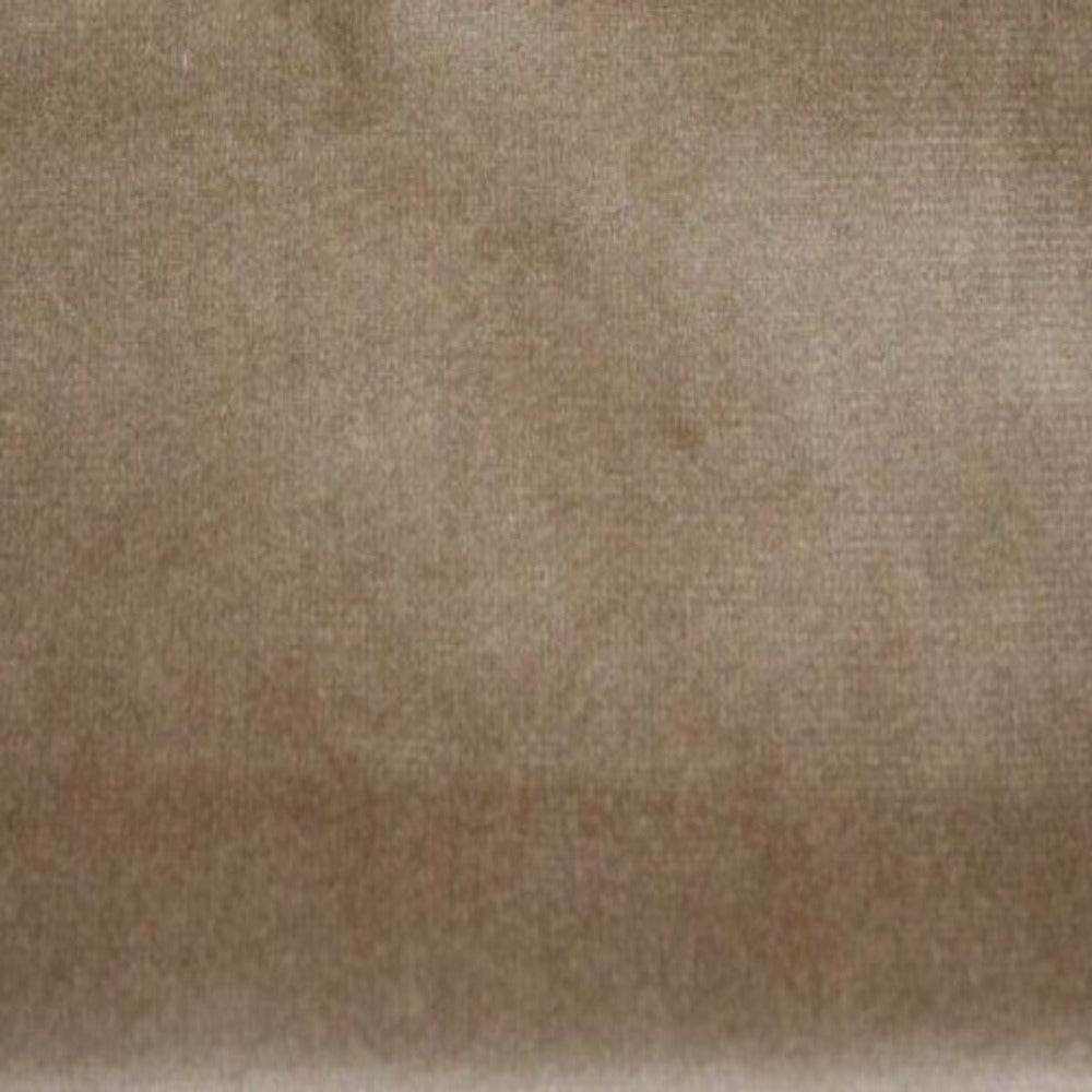 Newport Soft Velvet Fabric, 72 Inch. in Width | Home Decor Champagne Fabrics Star
