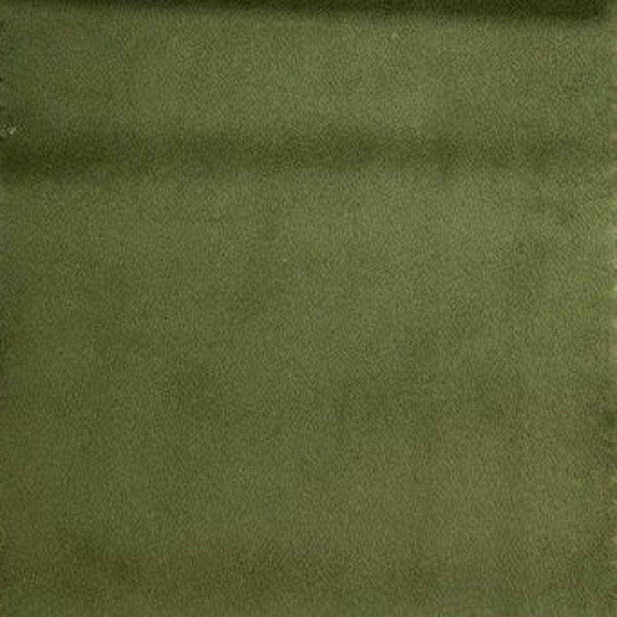 Soft Velvet Fabric, 118 Inch. in Width, Ideal Material for Home Décor Loden Green Fabrics Star
