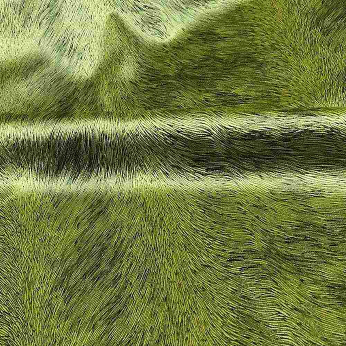 Brocade Hunter Velvet Fabric, 72 Inch. in Width | Home Decor Green Fabrics Star