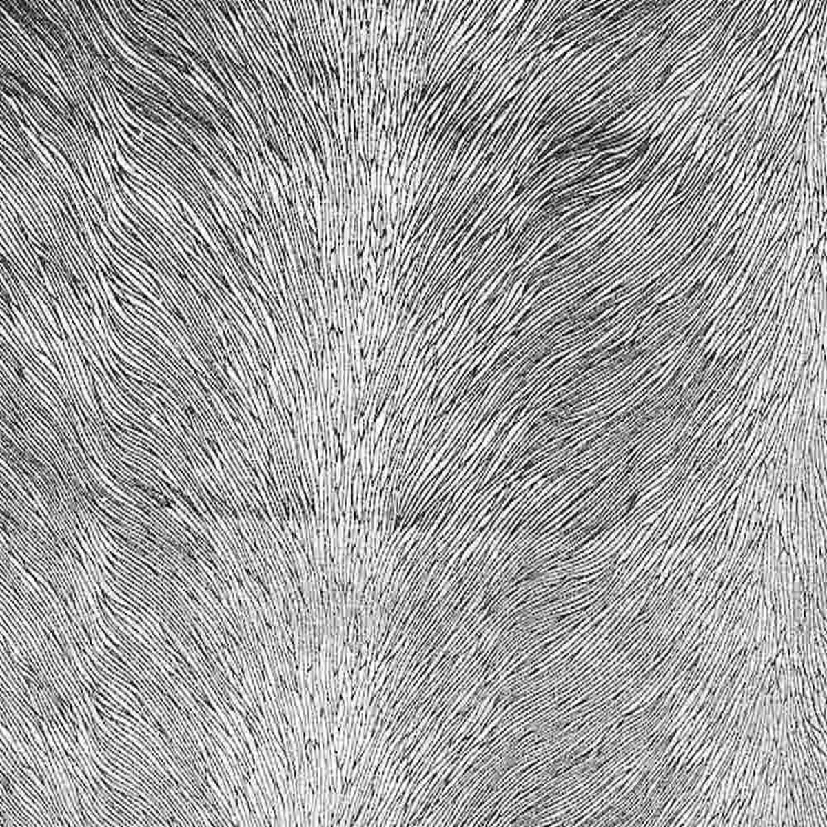 Brocade Hunter Velvet Fabric, 72 Inch. in Width | Home Decor Natural Fabrics Star